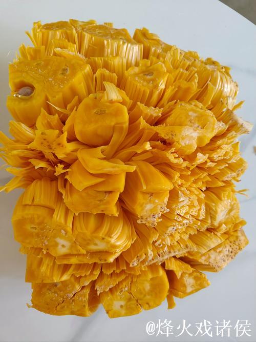 免费观看菠萝菠萝蜜视频：精彩不停息