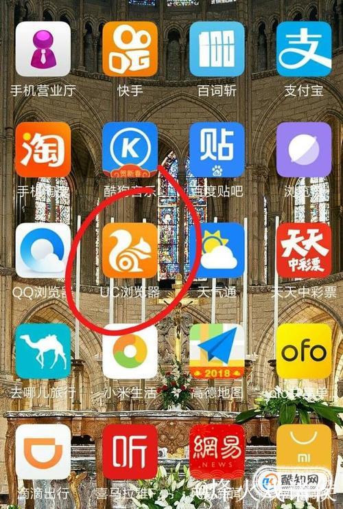 91视频怎么下载